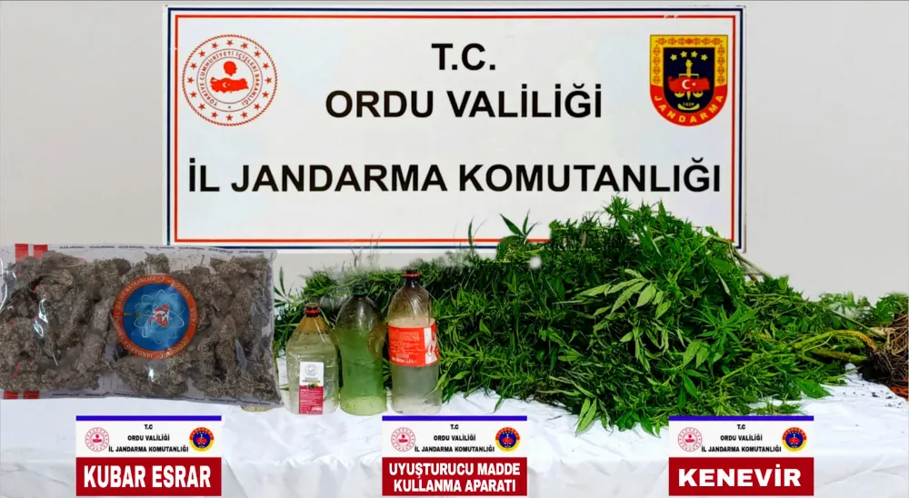 Ordu’da Uyuşturucu Operasyonları: 12 Gözaltı, 2 Tutuklama