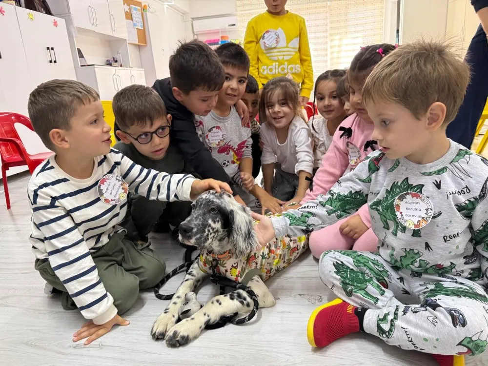 DÜNYA HAYVANLARI KORUMA GÜNÜ’NE ÖZEL ANLAMLI PROJE