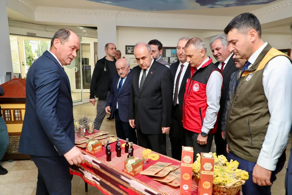 DOKAP İLLERİNDE ARI KOLONİLERİNİN HASTALIKLARLA MÜCADELE VE TEDAVİSİ PROJESİNİN TANITIMI YAPILDI