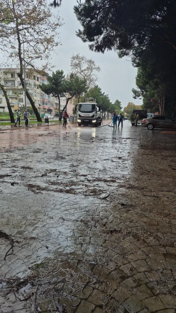 YIKILAN AĞAÇ KALDIRILDI, SAHA TEMİZLİĞİ YAPILDI