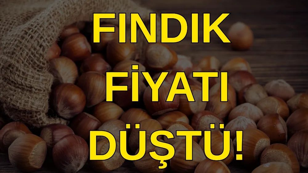 FİSKOBİRLİK FINDIK ALIM FİYATINI DÜŞÜRDÜ!