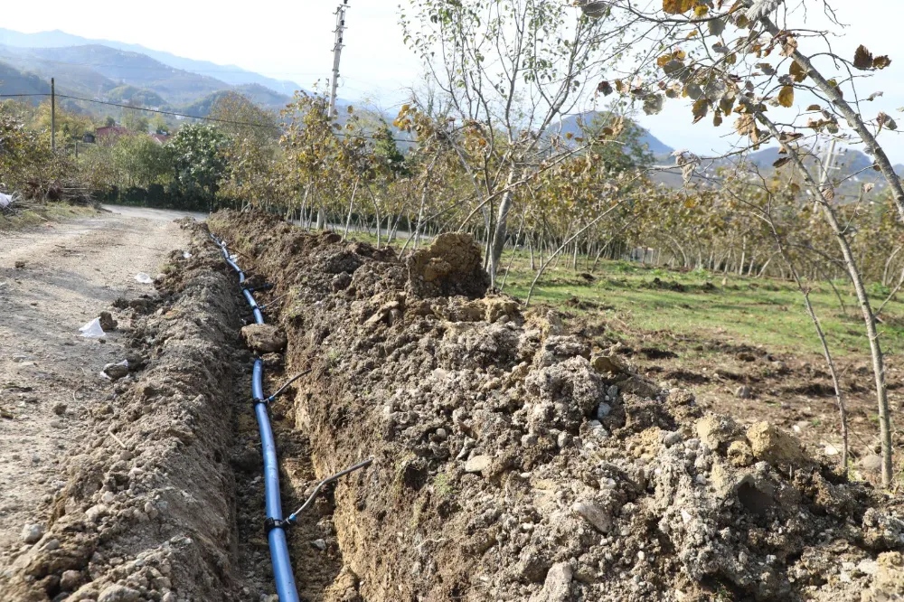 FINVER’DE DAMLAMA SULAMA DÖNEMİ