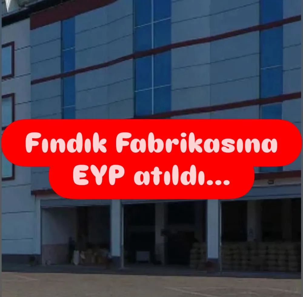 Ünye’de Fındık Fabrikasına EYP’li Saldırı,,, 