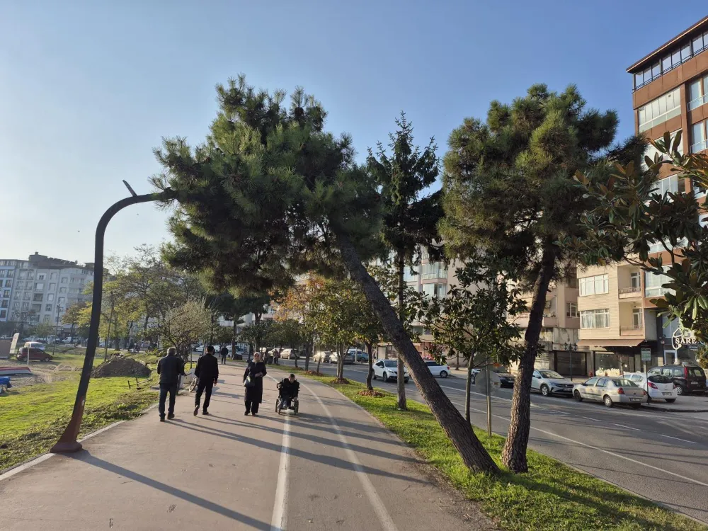 ZARAR GÖREN AĞAÇLAR TEMİZLENECEK