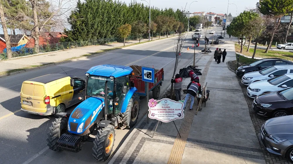 ÜNYE’DE KALDIRIMLAR AĞAÇLANDIRILIYOR