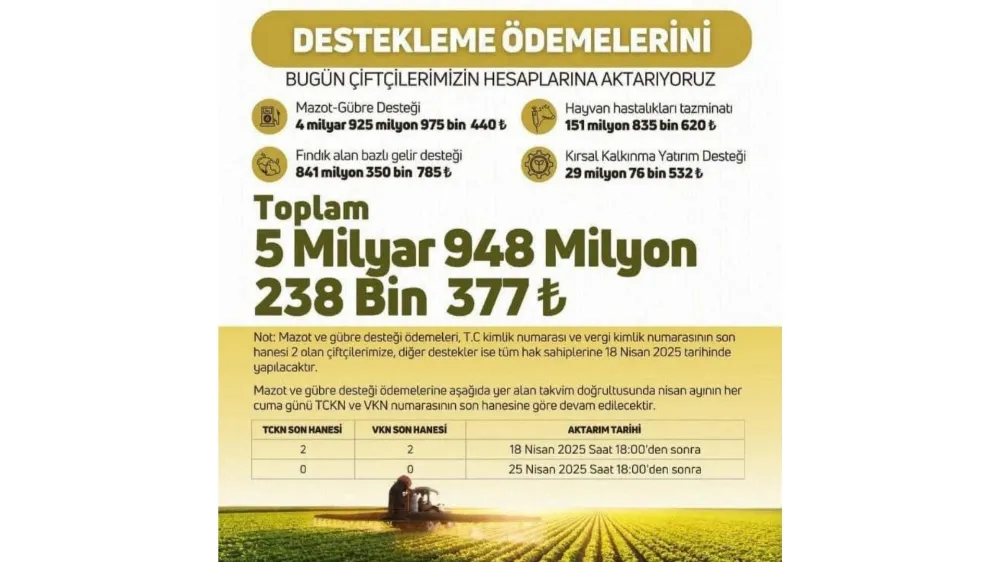 Fındık Üreticilerine Müjde: Alan Bazlı Destek Ödemeleri Başlıyor