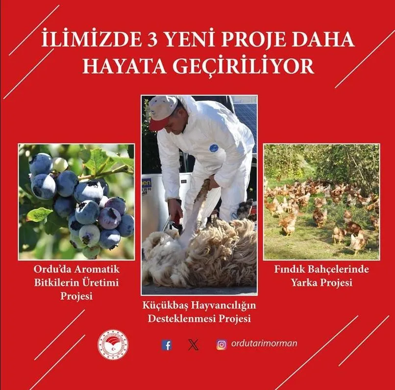ORDU’DA ÜRETİCİLERE ÜÇ YENİ HİBE DESTEĞİ