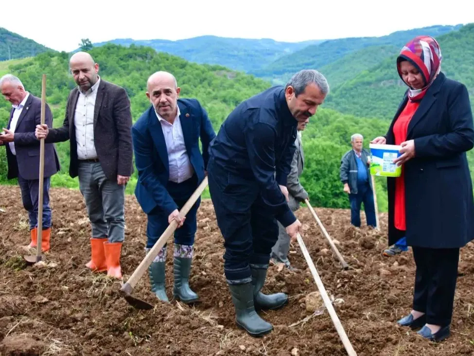 Akkuş Şeker Fasulyesi Toprakla Buluştu…