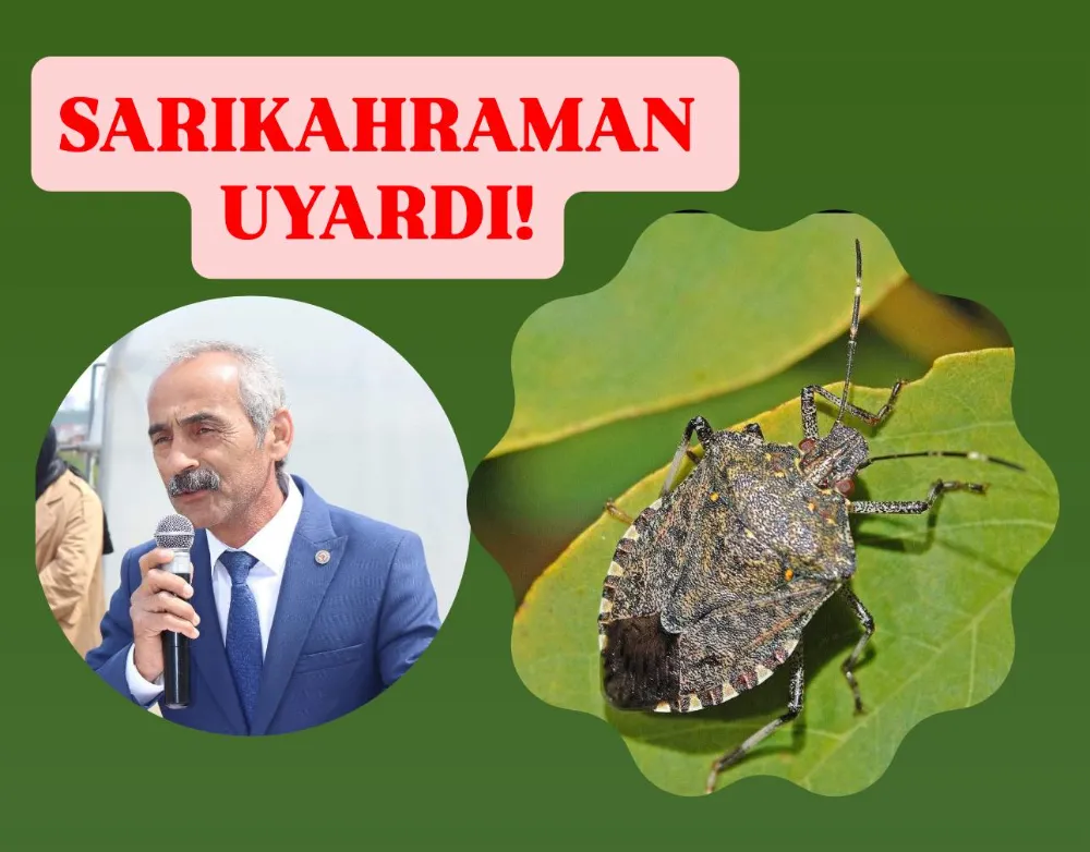 OSMAN SARIKAHRAMAN UYARDI: 