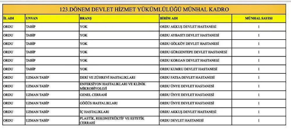 ÜNYE