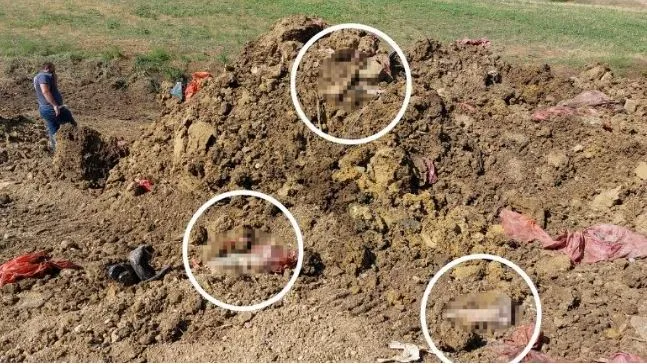 TOPRAKTAN İNSAN AYAKLARI ÇIKTI