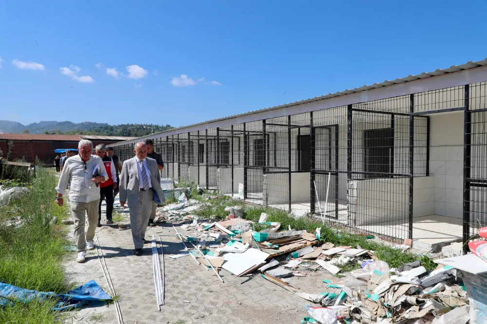 Ordu’da Sokak Hayvanları İçin Barınak ve Doğal Yaşam Alanı Çalışmaları Hızlandı