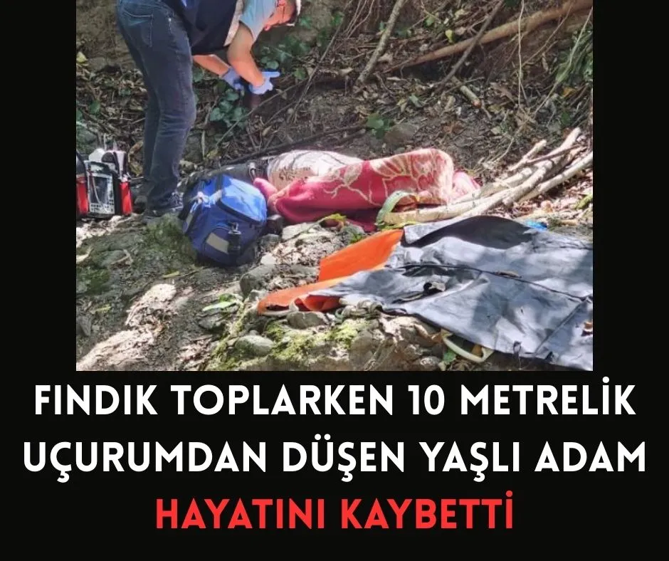 Fındık Toplarken 10 Metrelik Uçurumdan Düşen Yaşlı Adam Hayatını Kaybetti
