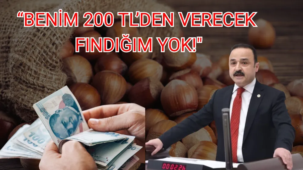 Milletvekili Şanlıtürk’ten Fındık Fiyatına Tepki: “Bu Fiyattan Fındık Veren Olmaz”